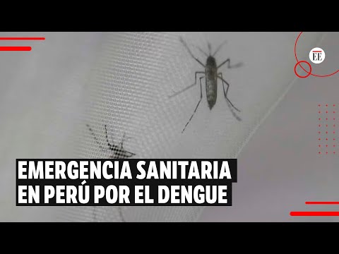 Perú, en emergencia sanitaria por aumento en casos de dengue | El Espectador