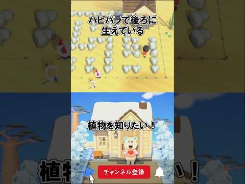ハピパラの背景の植物って手に入るのか?@ほのげ