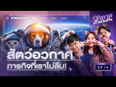 ถ้าไม่มีพวกเขาเราไปอวกาศไม่ได