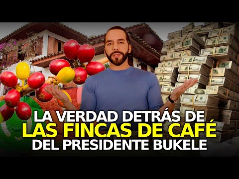 ¿Acusan a Bukele de Robo por Envidia? La Verdad Detrás de su Fortuna