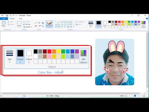 ส่วนประกอบของ-paint ส่วนประกอบของ-paint