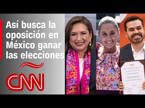 ¿Cuál es la estrategia de la oposición para ganar el voto en México?