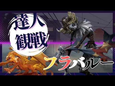 フラバルー #31 S39 達人観戦 Hullabaroo 朝ラン #identityV #第五人格