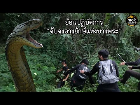 ลุยดิบEP.116ย้อนปฏิบัติการระท