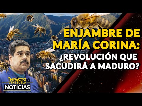 ENJAMBRE DE MARÍA CORINA: ¿revolución que sacudirá a Maduro?|  NOTICIAS VENEZUELA HOY 2024