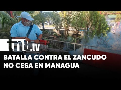 MINSA continua la fumigación y abatización en barrios de Managua - Nicaragua