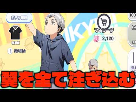【ハイドリ】全翼を使ってガチャ‼️思い出の北信介は出るのか‼️【ハイキュー!!TOUCH THE DREAM】