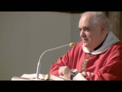 Evangelio y homilía de hoy Viernes 20 de septiembre de 2024. Predica: Rvdo. Enric Ribas, pbro.