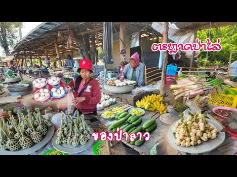 ນ້ຳຕານກ້ອນ,ມັນເພົາ,ຫວາຍ...ຕະ