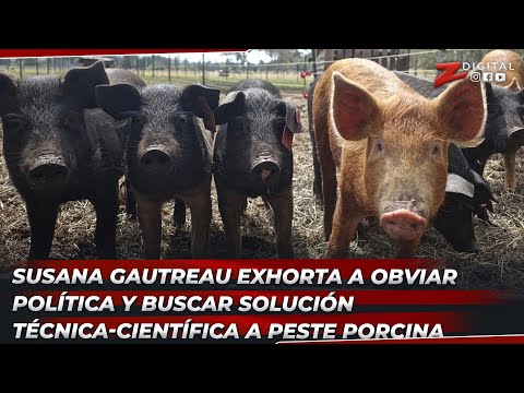 Susana Gautreau exhorta a obviar política y buscar solución técnica-científica a peste porcina