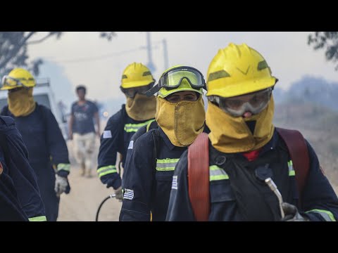 Incendio forestal en Algorta: El fuego se controló pero aún no se extinguió