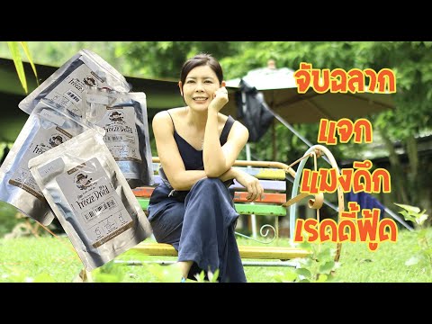จับฉลาก-แจก-แมงดึกเรดดี้ฟู๊ดส์ จับฉลาก-แจก-แมงดึกเรดดี้ฟู๊ดส์