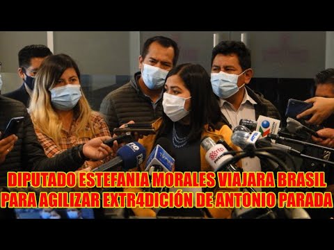 COMISIÓN LEGISLADORES DE BOLIVIA VIAJARAN HASTA CORUMBA BRASIL PARA ENTREVISTARSE CON ANTONIO PARADA