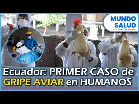 #EnVivo | Ecuador confirma un primer caso humano de gripe aviar en una niña de 9 años