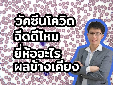 วัคซีนโควิด19-ยี่ห้อไหน-ฉีดดีไ วัคซีนโควิด19-ยี่ห้อไหน-ฉีดดีไ