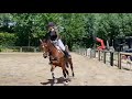 Show jumping horse Kabusch VGH