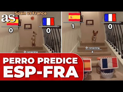 El PRONÓSTICO del PERRO infalible del ESPAÑA-FRANCIA| EUROCOPA 2024