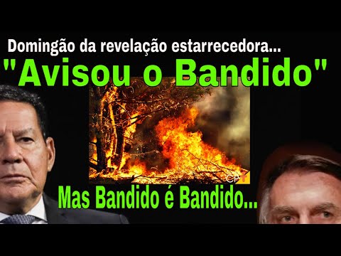 FLAGRANTE: O MAIOR BANDIDO DOS INCÊNDIOS! STF: PRAZO FINAL CONTRA BOLSONARO! GONET: OLHA A FILA !