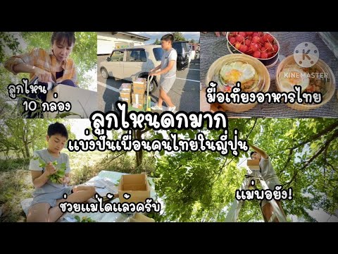 EP.51กินข้าวใต้ต้นลูกไหนกัน|