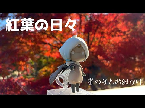 星の子つれて紅葉を楽しみ行ってきたハナシ