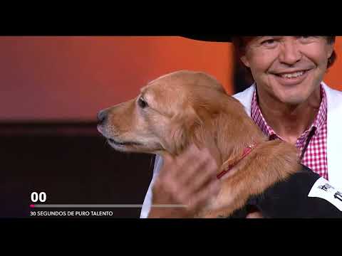Carrie G y José Fuentes encantaron en Got Talent Chile