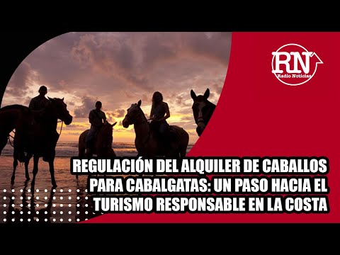 Regulación de alquiler de caballos para cabalgatas: un paso hacia el turismo responsable en La Costa