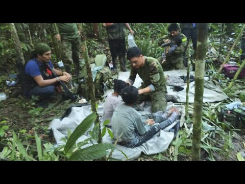 Crash d'un avion en Colombie : quatre enfants retrouvés vivants après 40 jours dans la jungle