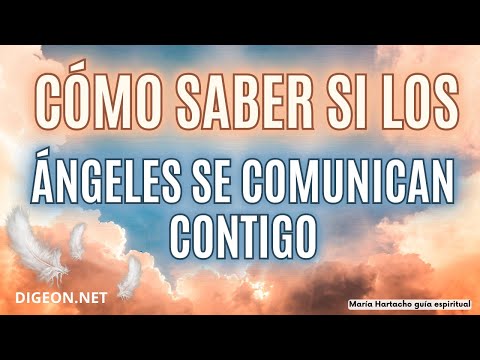 MENSAJE DE LOS ÁNGELES PARA TI -DIGEON- Los Ángeles te hablan -Ens VERTI