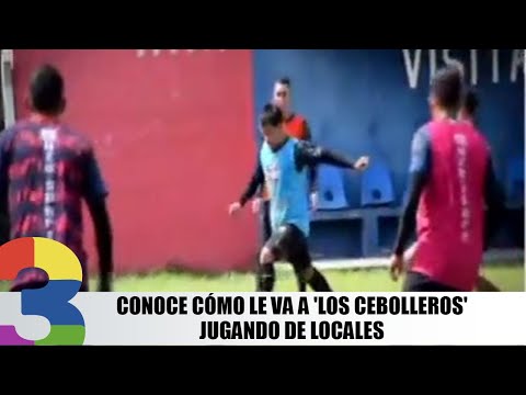 Conoce cómo le va a 'los cebolleros' jugando de locales