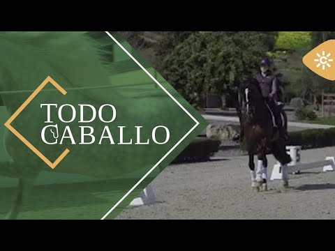 TodoCaballo | Dos Lunas, un centro de alto rendimiento para caballos de doma y polo