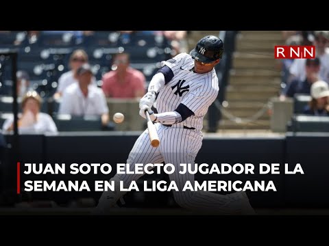 Juan Soto electo jugador de la semana en la Liga Americana