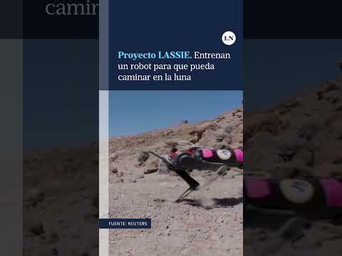 Proyecto LASSIE: entrenan un robot para que pueda caminar en la luna
