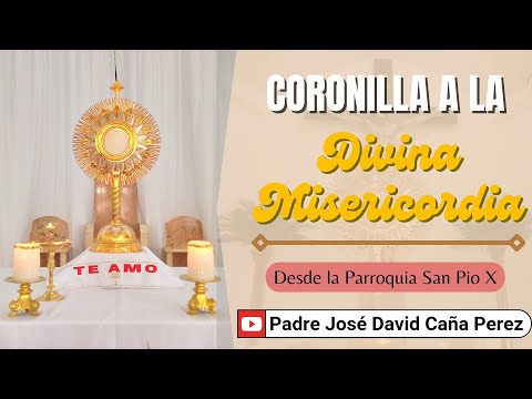 CORONILLA A LA DIVINA MISERICORDIA | DOMINGO 23 DE JUNIO 2024