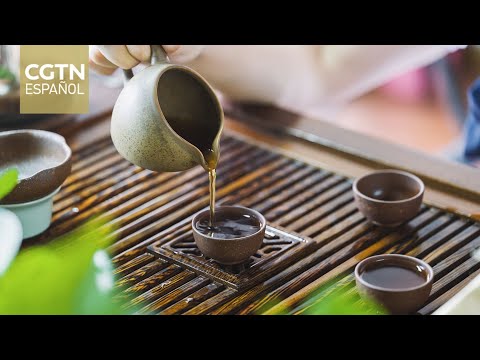 Muestras de té y porcelana fomentan el entendimiento mutuo entre China y República Dominicana