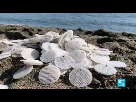 Lutte contre la pollution en Italie : un premier procès pour pollution plastique en mer