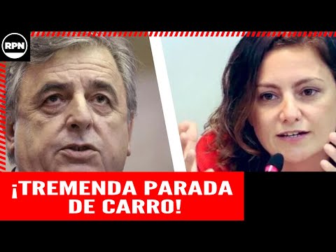 El tenso cruce entre Vanesa Siley y Mario Negri: Sos un machirulo