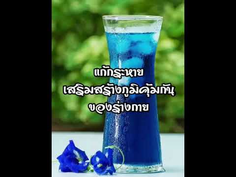 สินค้าเกษตรเจาะหาจุดขายที่ซื้