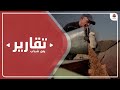 ازمة القمح العالمية تدفع اليمن للبحث عن بدائل لتغطية عجز الامداد