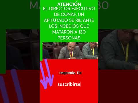 SE RIÓ DE LA ADVERTENCIA SOBRE LOS INCEDIOS EN LA v REGIÓN QUE DEJARON 130 MUERTOS