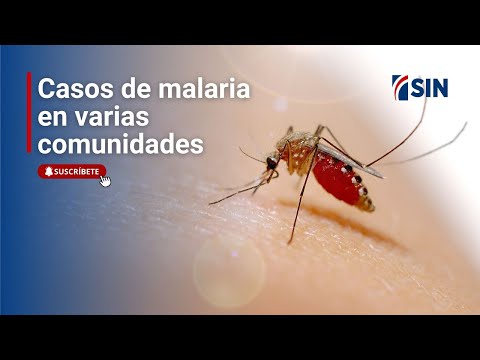 #PrimeraEmisión: Caso pastor y  foco de malaria