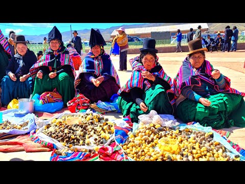 Gran APTHAPI y el desfile cívico del municipio JESUS de MACHACA, provincia Ingavi LA Paz - Bolivia