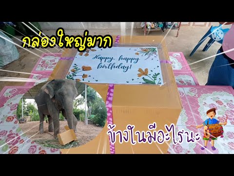 แกะเองเลย-กล่องใหญ่มาก-มันคืออ แกะเองเลย-กล่องใหญ่มาก-มันคืออ