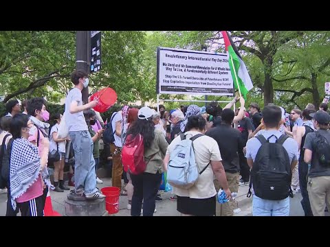 Dozens arrested after pro-Palestinian demonstrators rally at Art Institute of Chicago