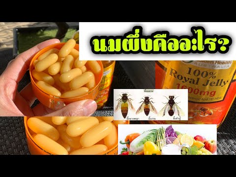 นมผึ่งคืออะไร|Royaljelly(น