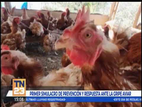 Primer simulacro de prevención y respuesta ante la gripe aviar