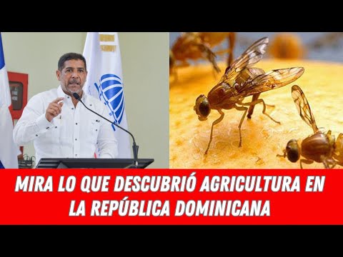 MIRA LO QUE DESCUBRIÓ AGRICULTURA EN LA REPÚBLICA DOMINICANA