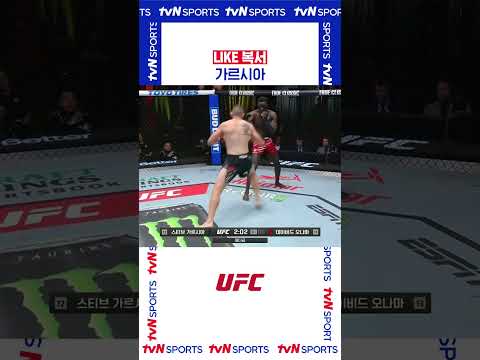 LIKE 복서 #UFC