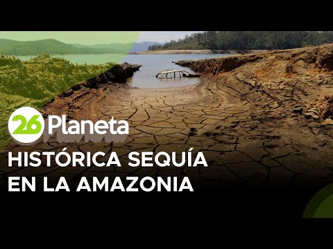 Brasil | Histórica sequía en la Amazonia