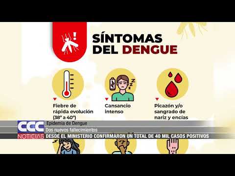 06 Desde el Ministerio confirmaron un total de 40 mil casos positivos de Dengue