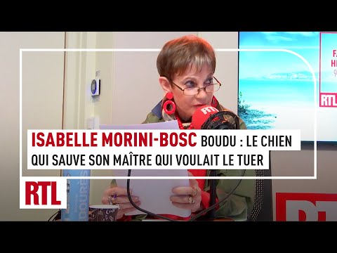 Isabelle Morini-Bosc : Boudu, le chien qui sauve son maître qui voulait le tuer